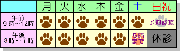 診察時間
